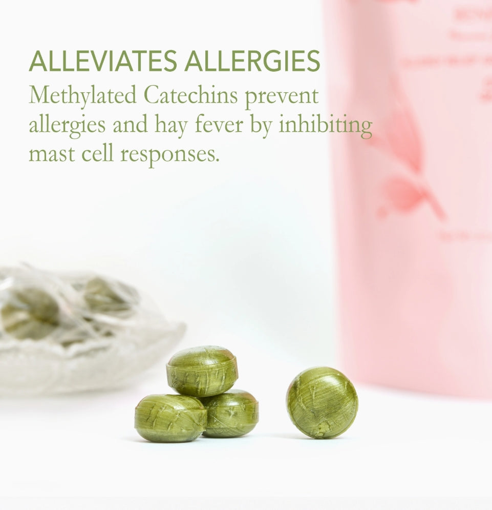 Benifuuki - Allergy Relief Japanese Green Tea Candy